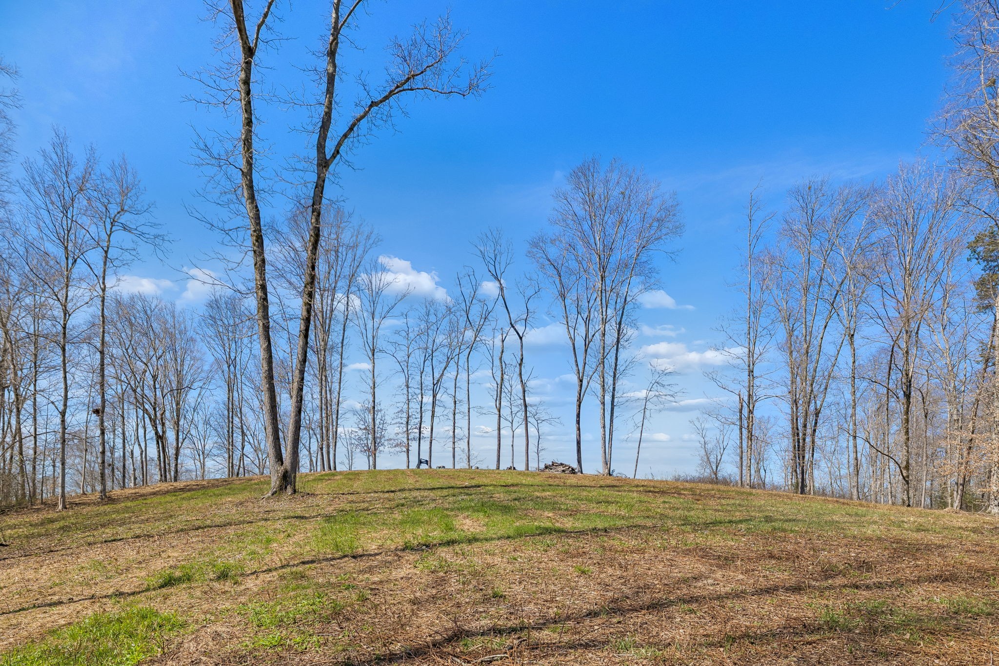 6012 Russell Ridge Lane, Franklin TN 37064 0-bed lot, photo 10 of 25