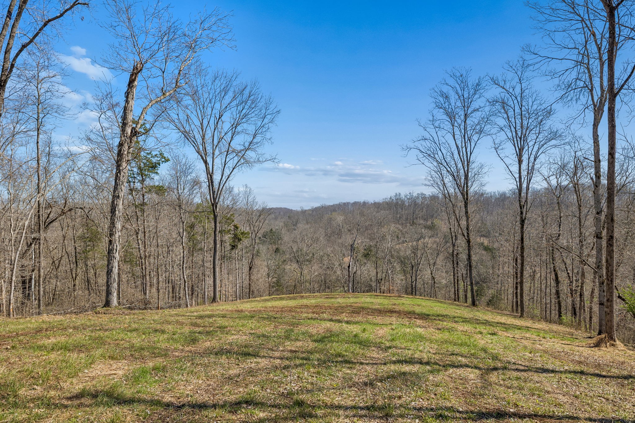 6012 Russell Ridge Lane, Franklin TN 37064 0-bed lot, photo 8 of 25