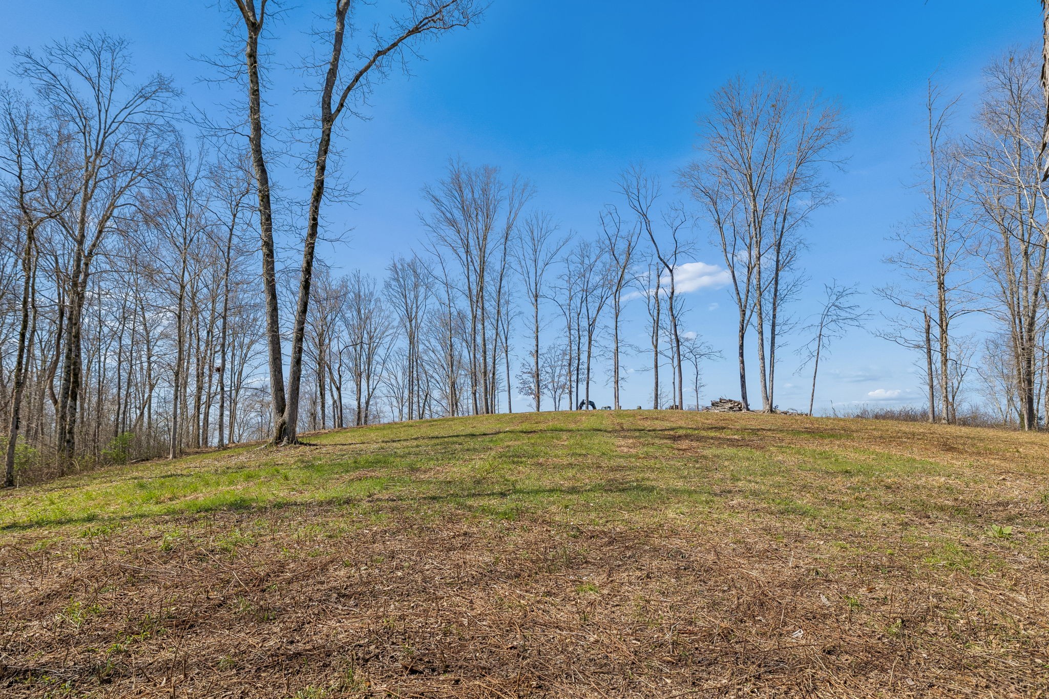 6012 Russell Ridge Lane, Franklin TN 37064 0-bed lot, photo 9 of 25