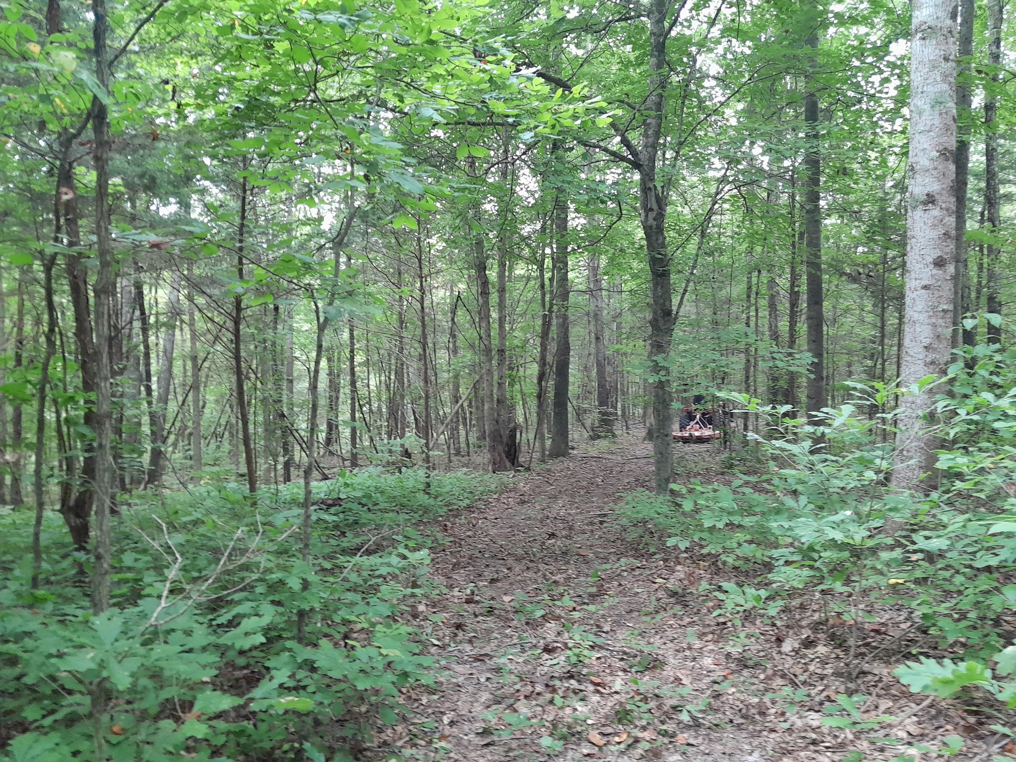 Many trails throughout the Property just waiting for you to explore