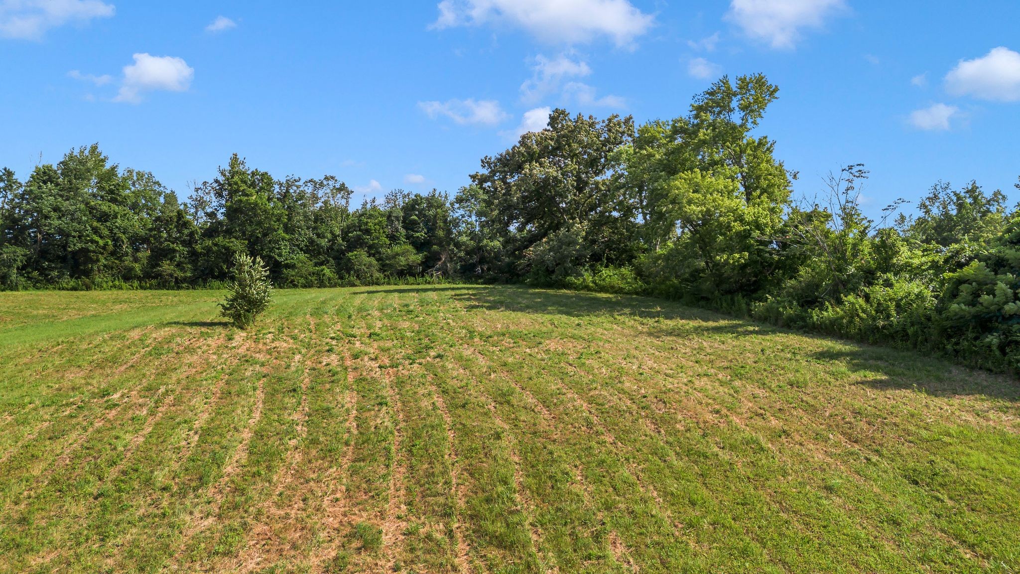 1517 Highway 70