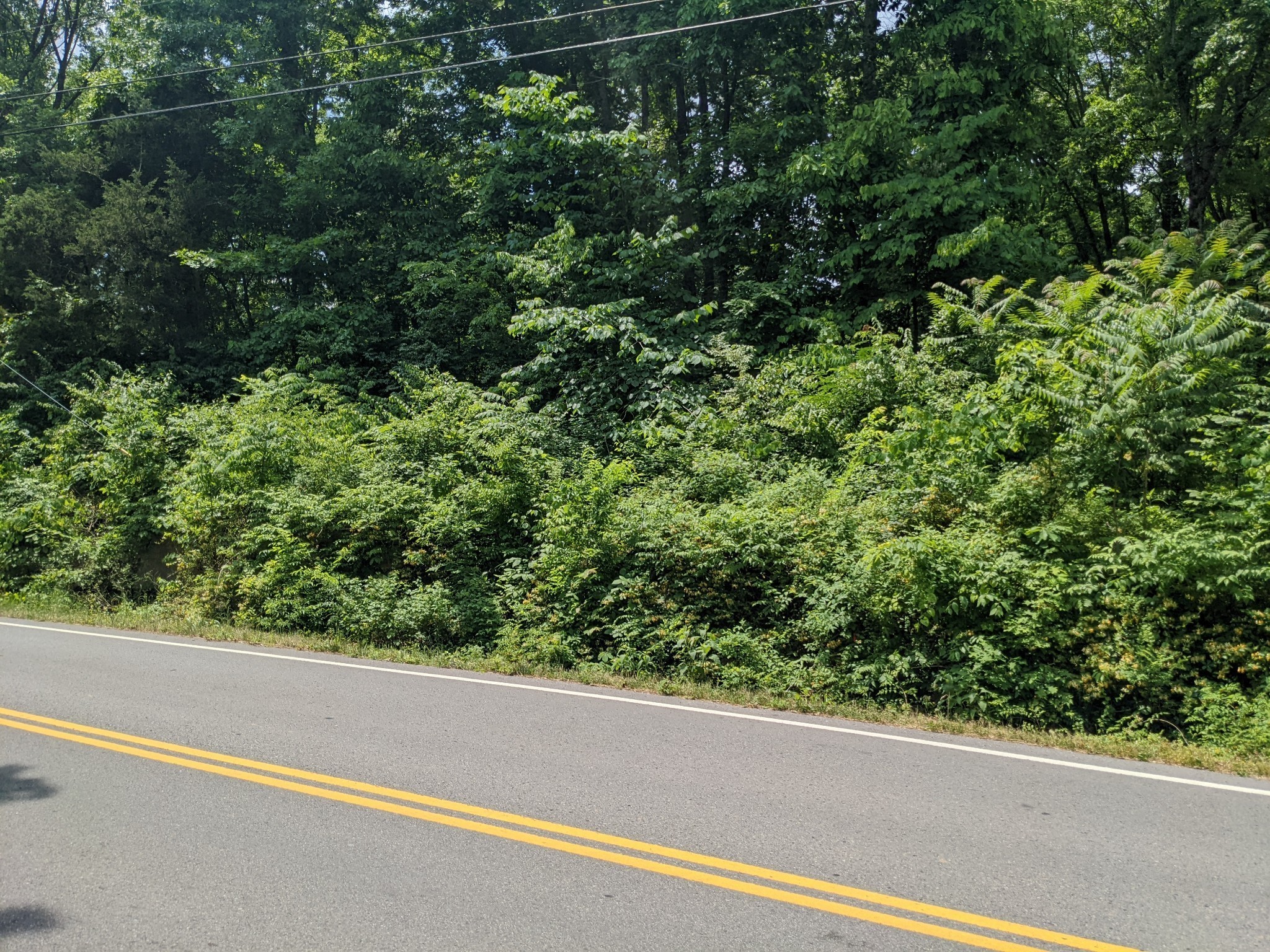 0 Bluff Road