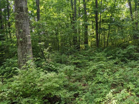 0 Bluff Road Brentwood TN 37027