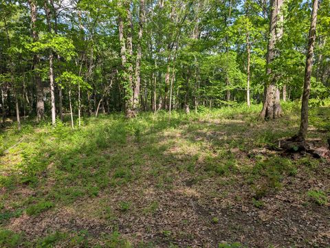 0 Bluff Road Brentwood TN 37027