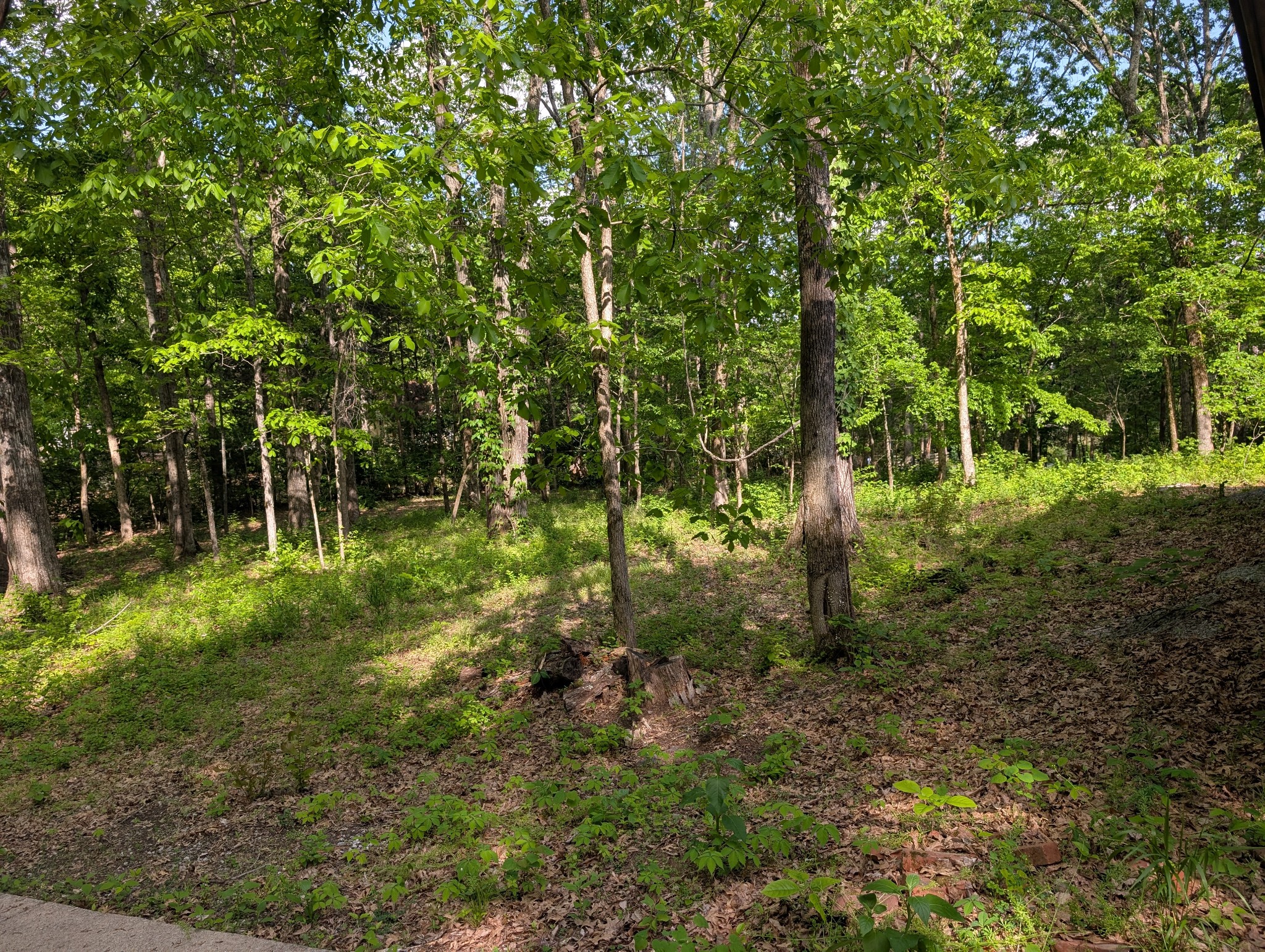 0 Bluff Road