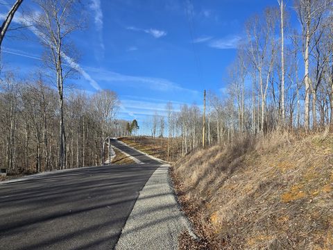 9510 Medlin Rd Baxter TN 38544