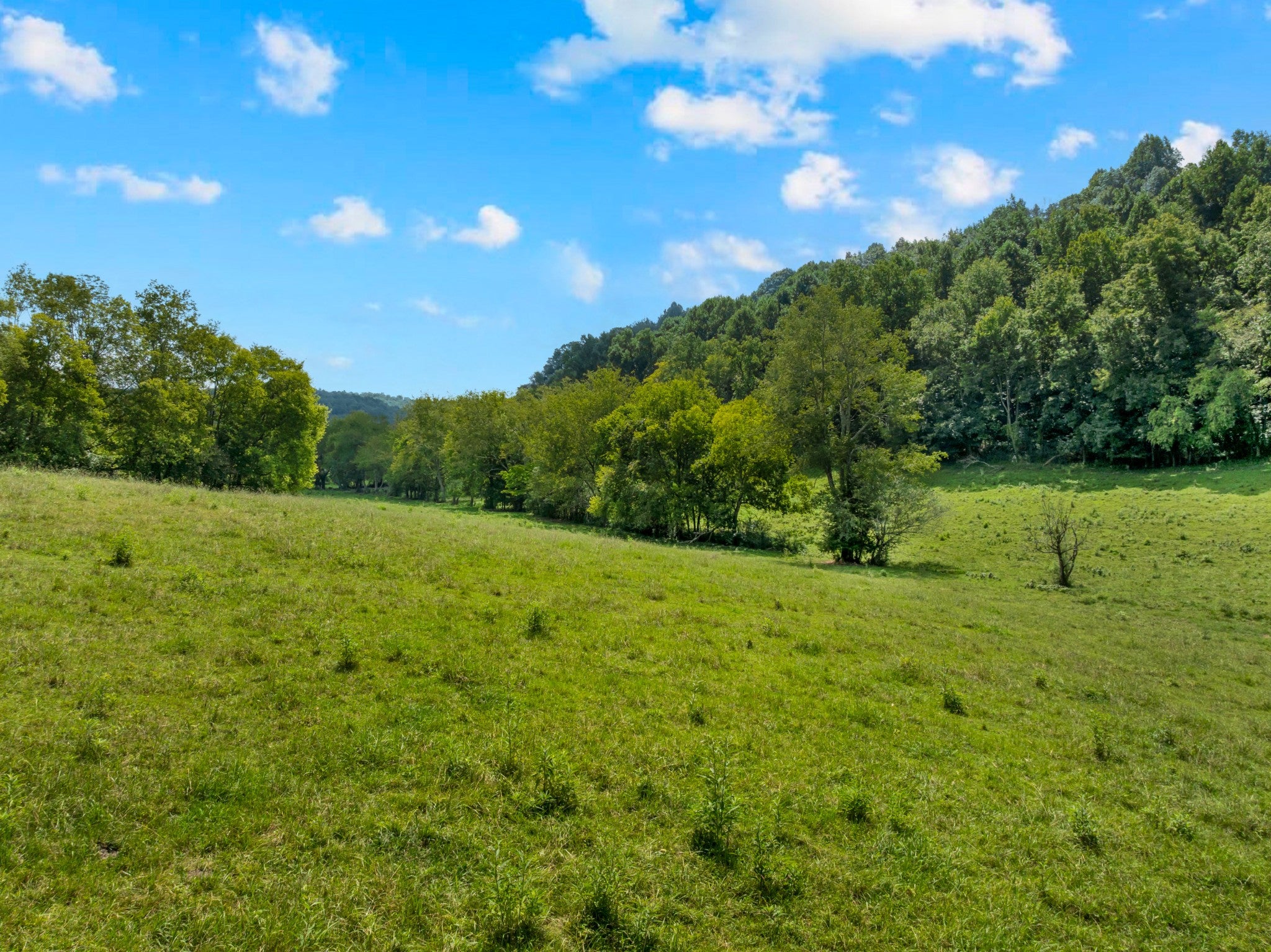4B Normandy Rd