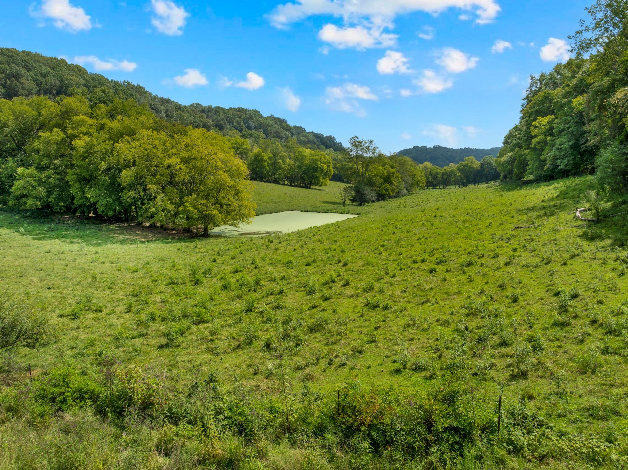 4B Normandy Rd