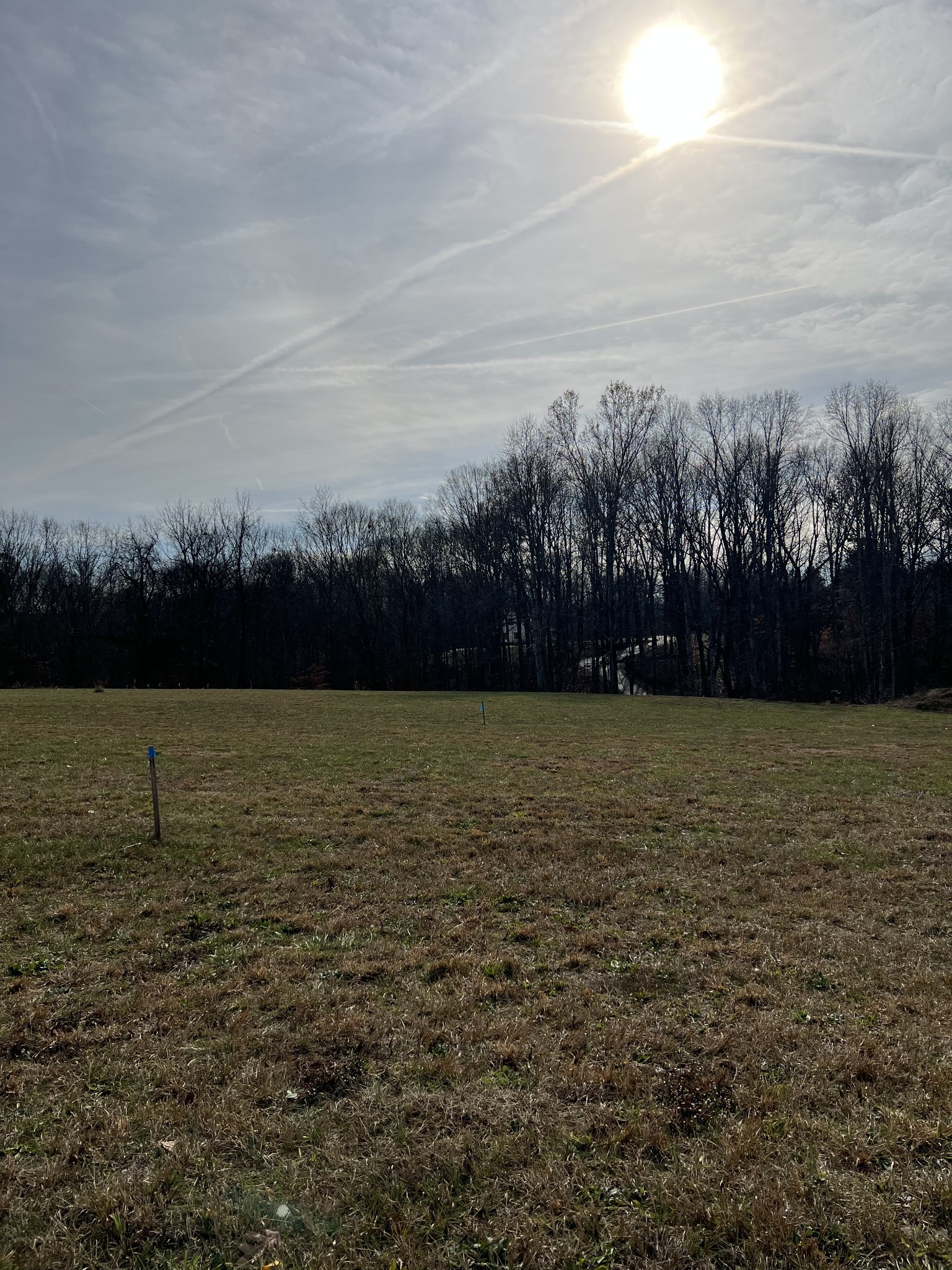 2981 Lights Chapel Rd