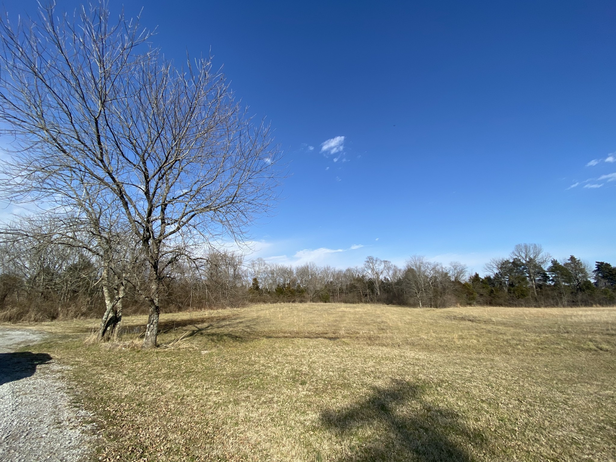 9303 Stewarts Ferry Pike