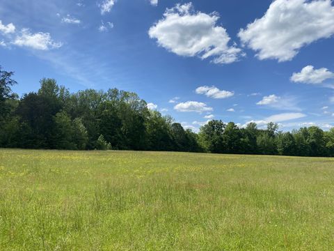 0 Lick Creek Rd Linden TN 37096