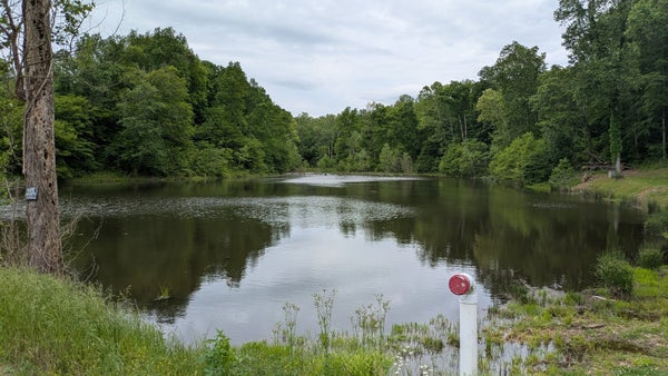 1340 OWL CIR, HURRICANE MILLS, TN 37078 - Image 1bb77eeb24d8eaadf5099d026cf5733e/1535532899