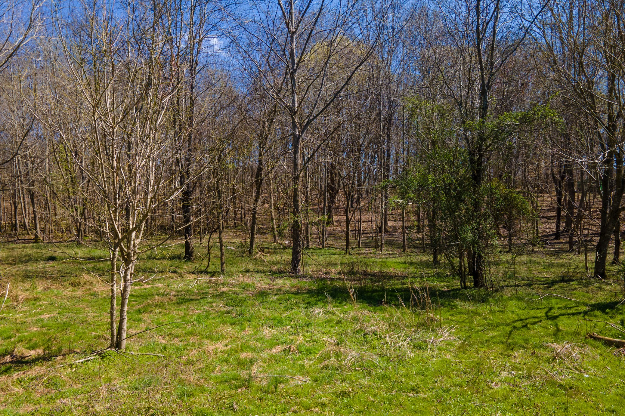 0 Cedar Grove Rd