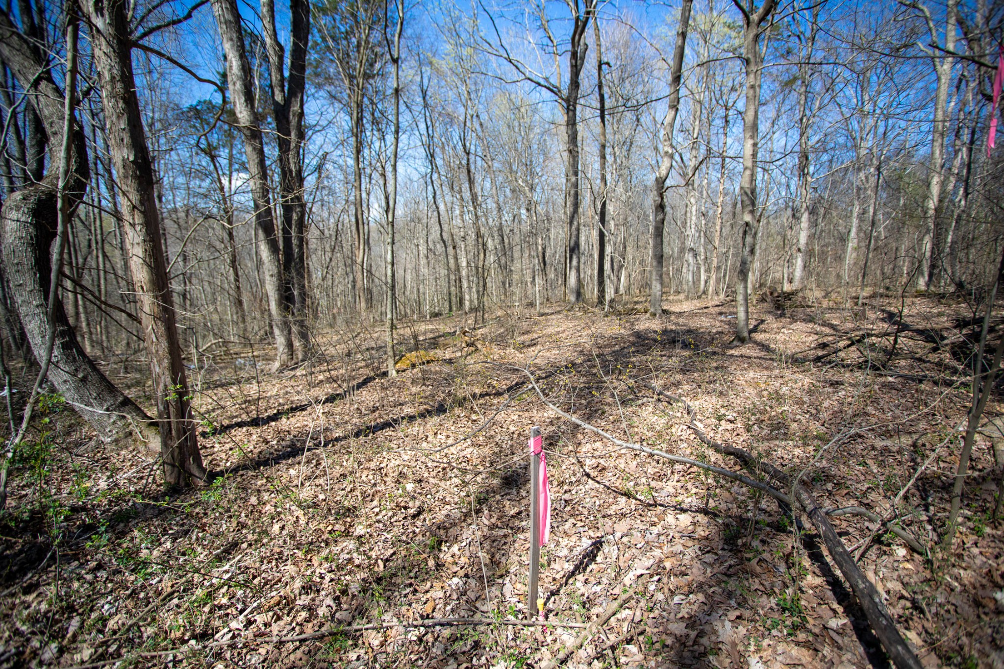 0 Cedar Grove Rd