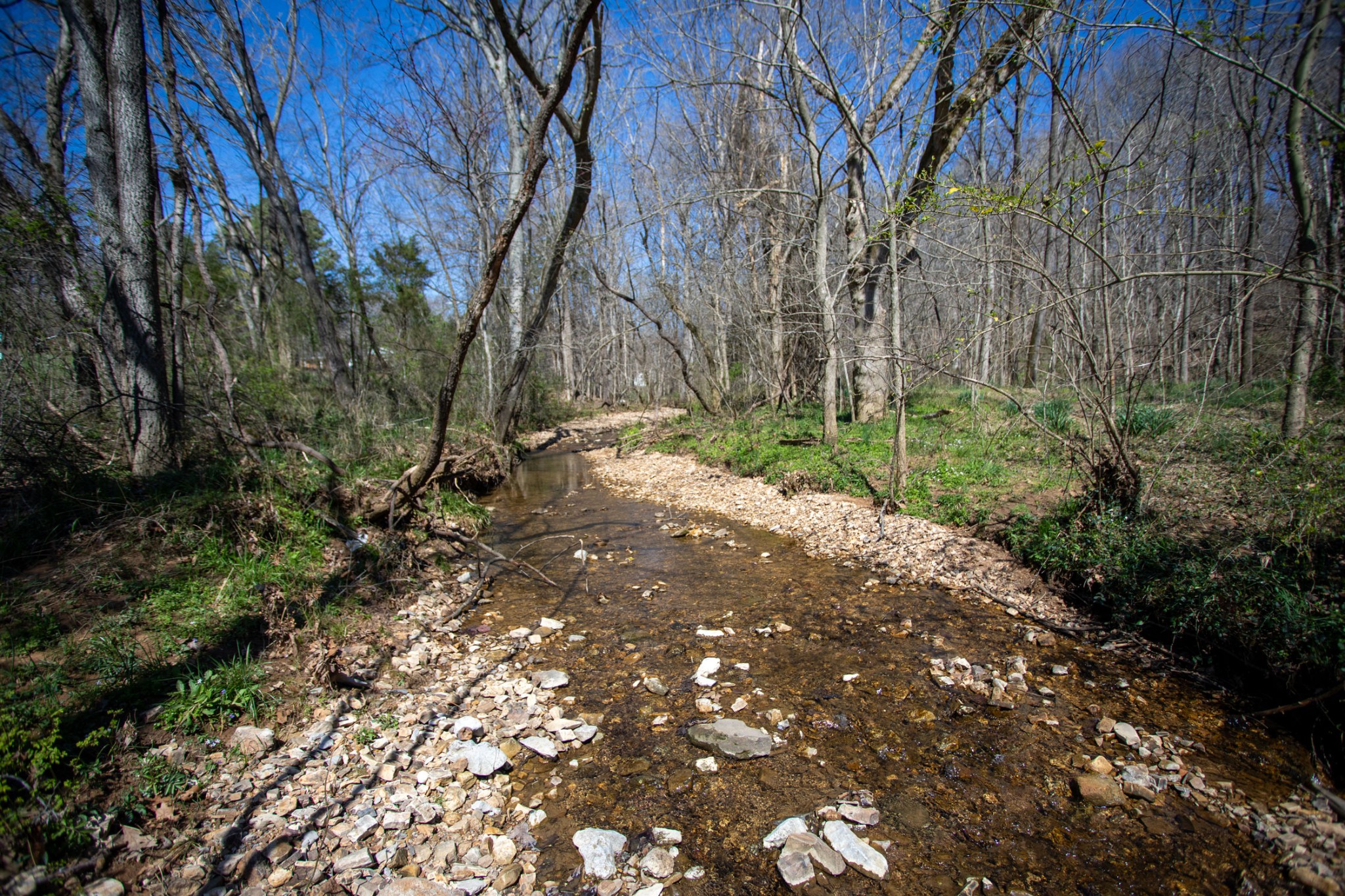 0 Cedar Grove Rd