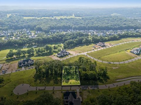 8518 Blanton Ct College Grove TN 37046