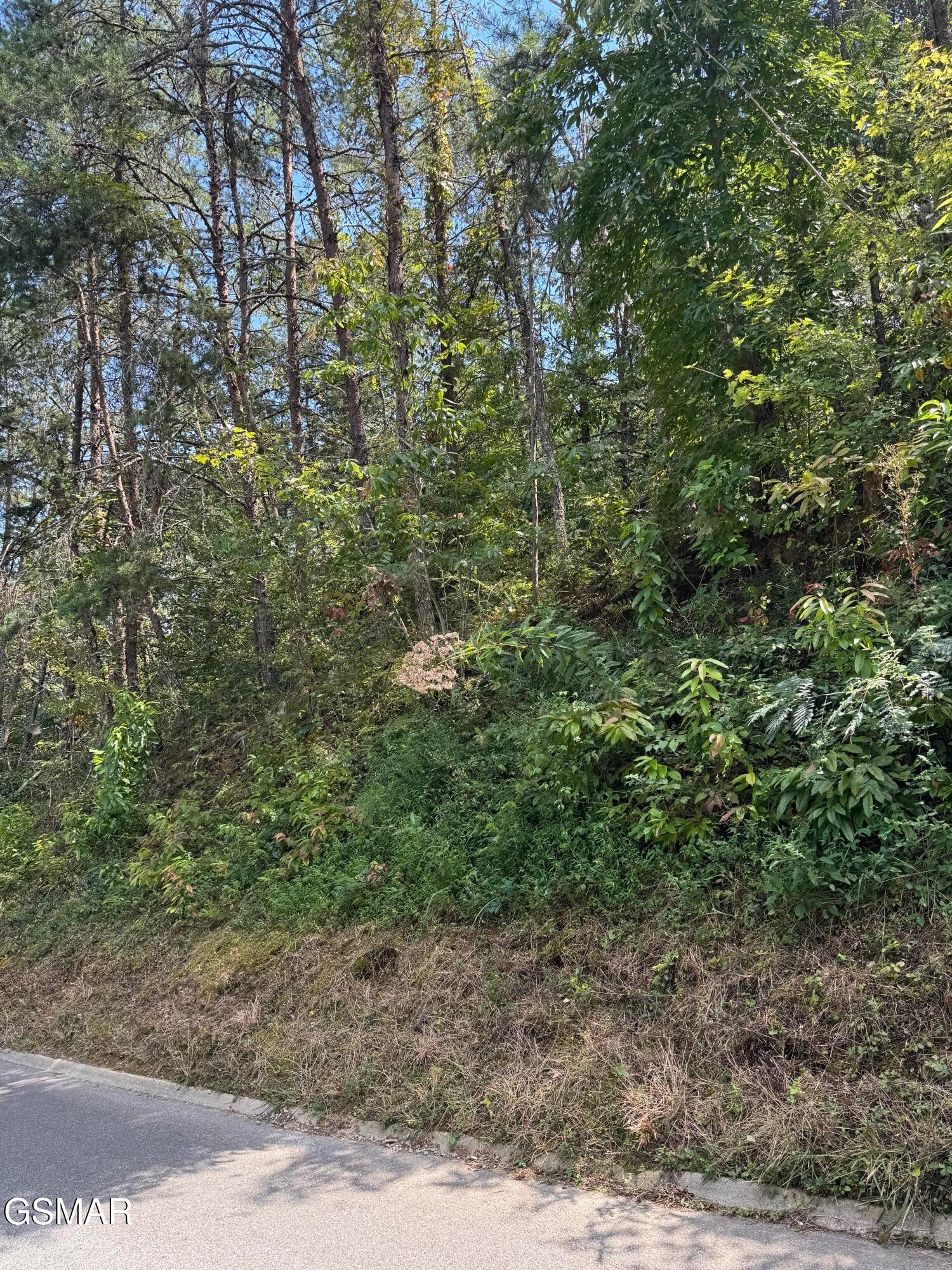 0 Progress Hill Boulevard