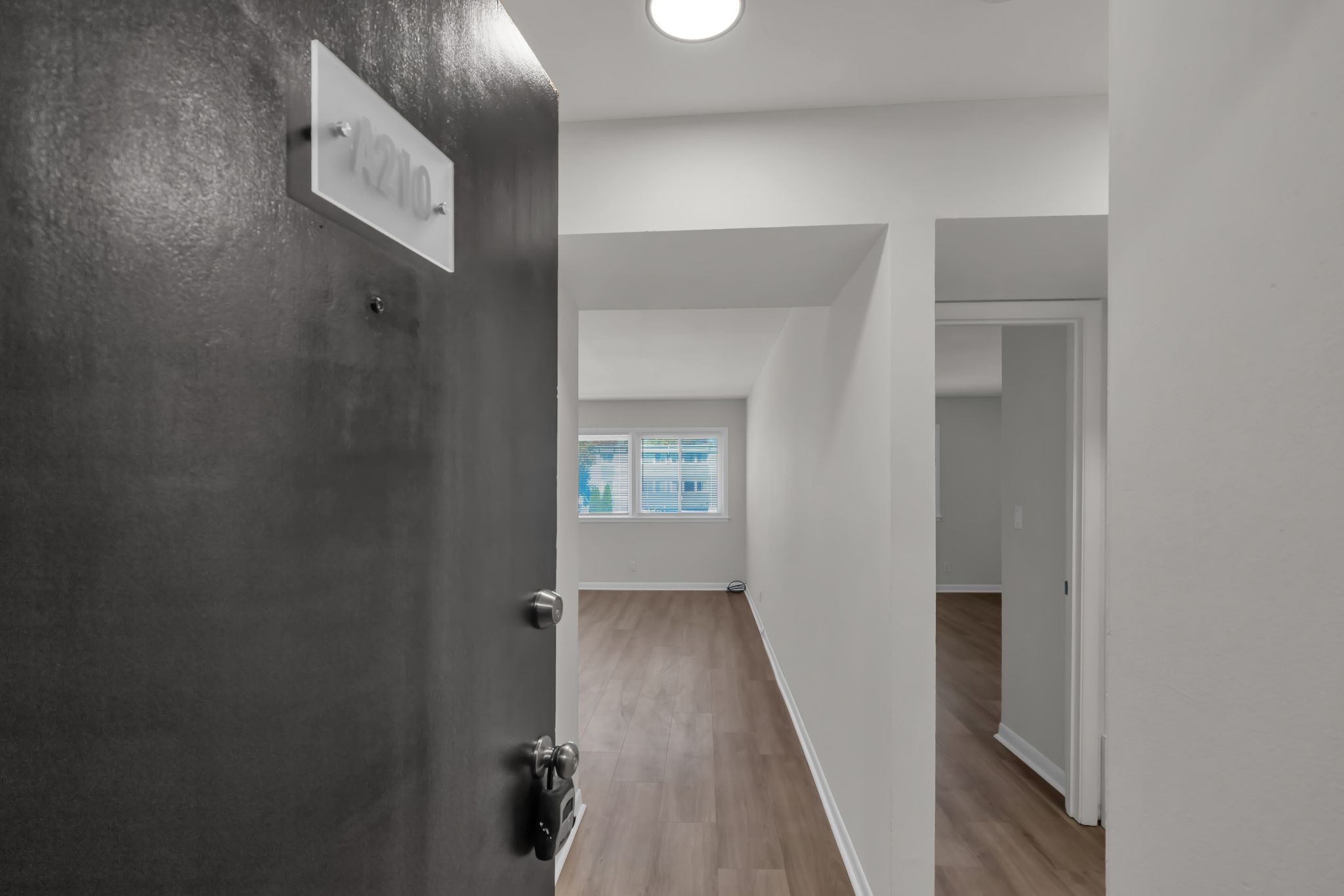 1900 Richard Jones Rd A210