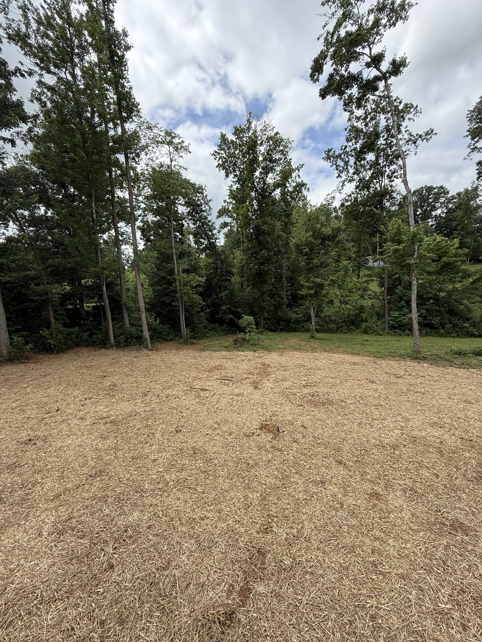 262 Virgil Deckard Road