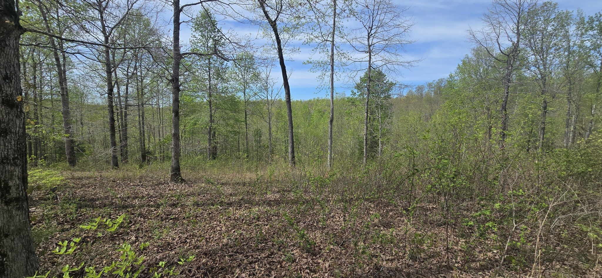 360 James Zimmerman Rd
