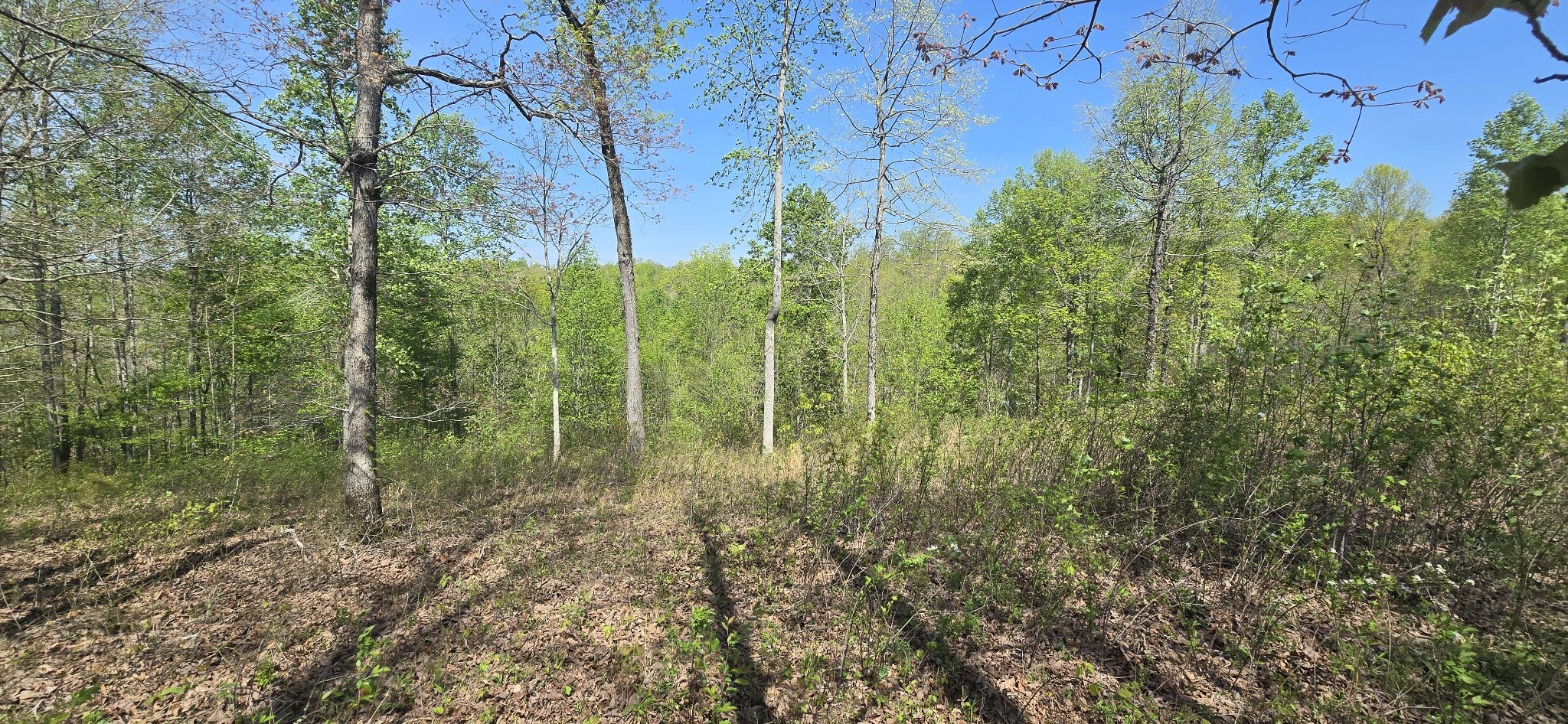 360 James Zimmerman Rd