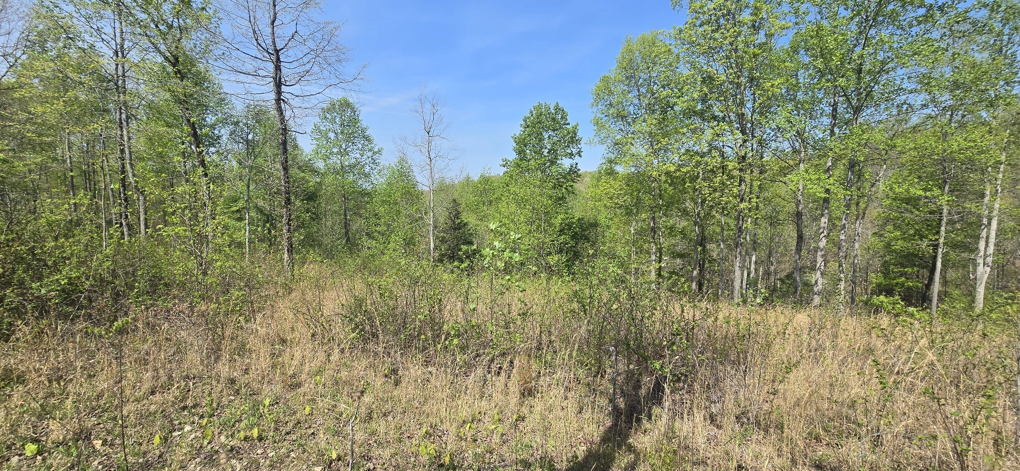 360 James Zimmerman Rd
