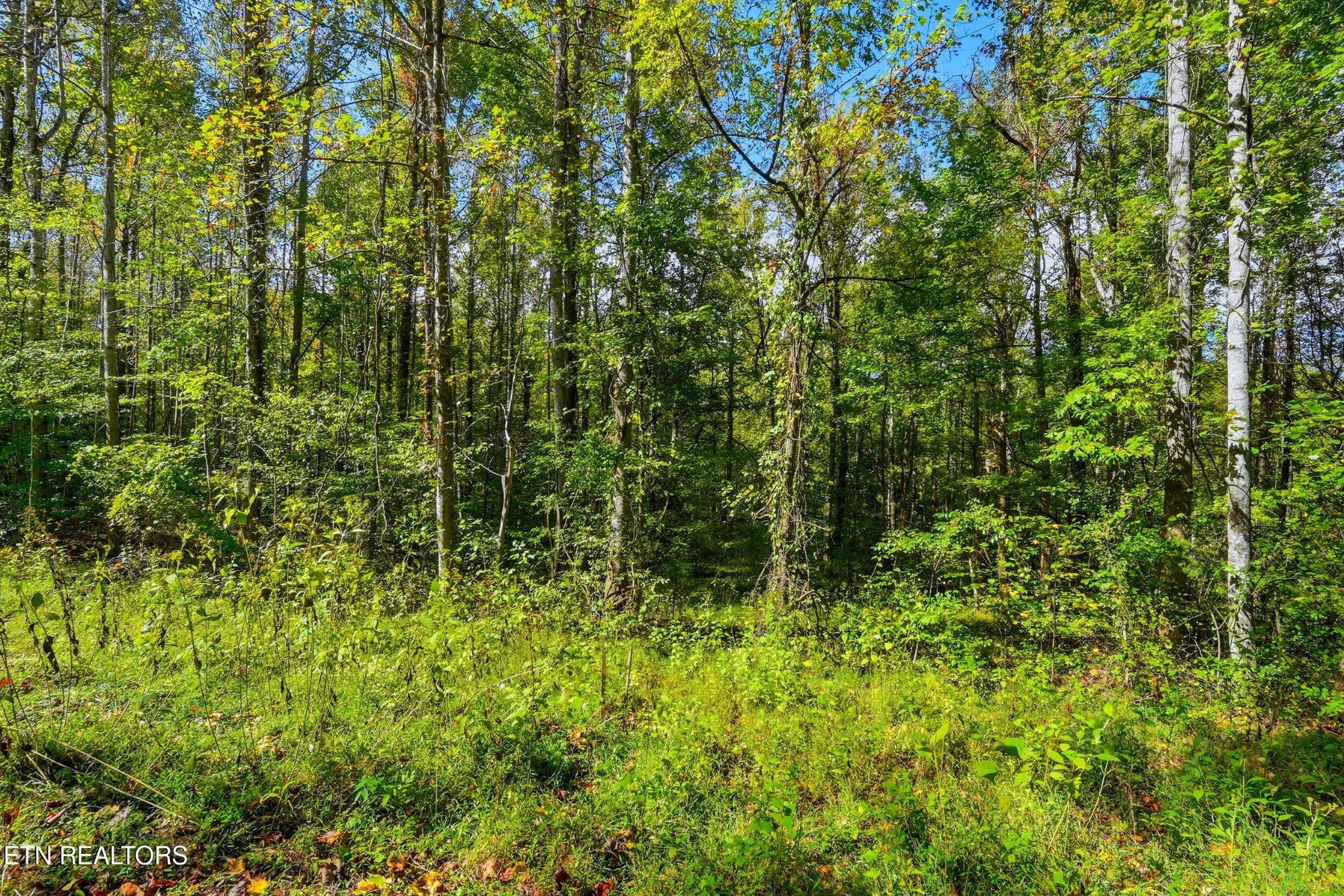 2 Timber Lake Drive