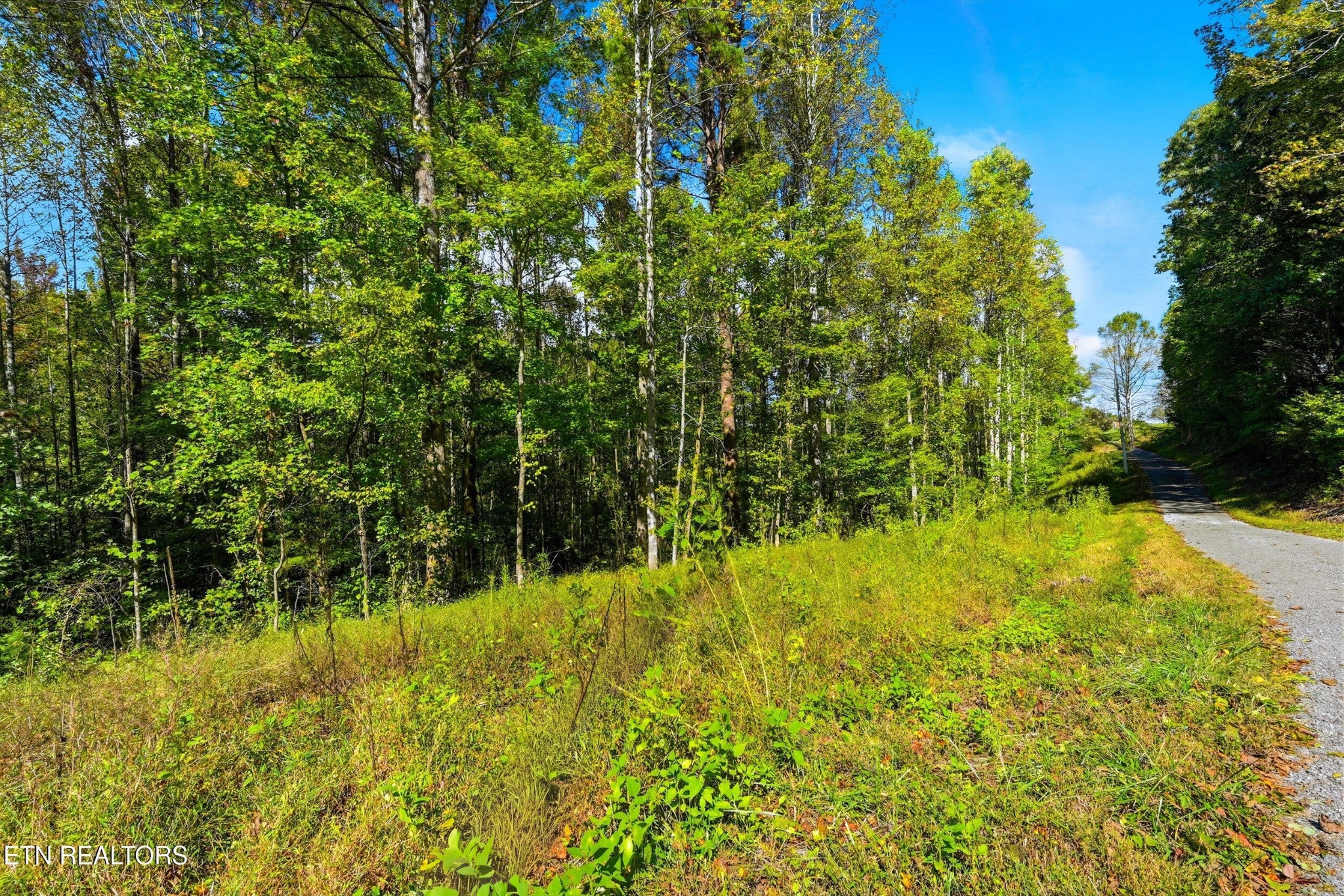 2 Timber Lake Drive