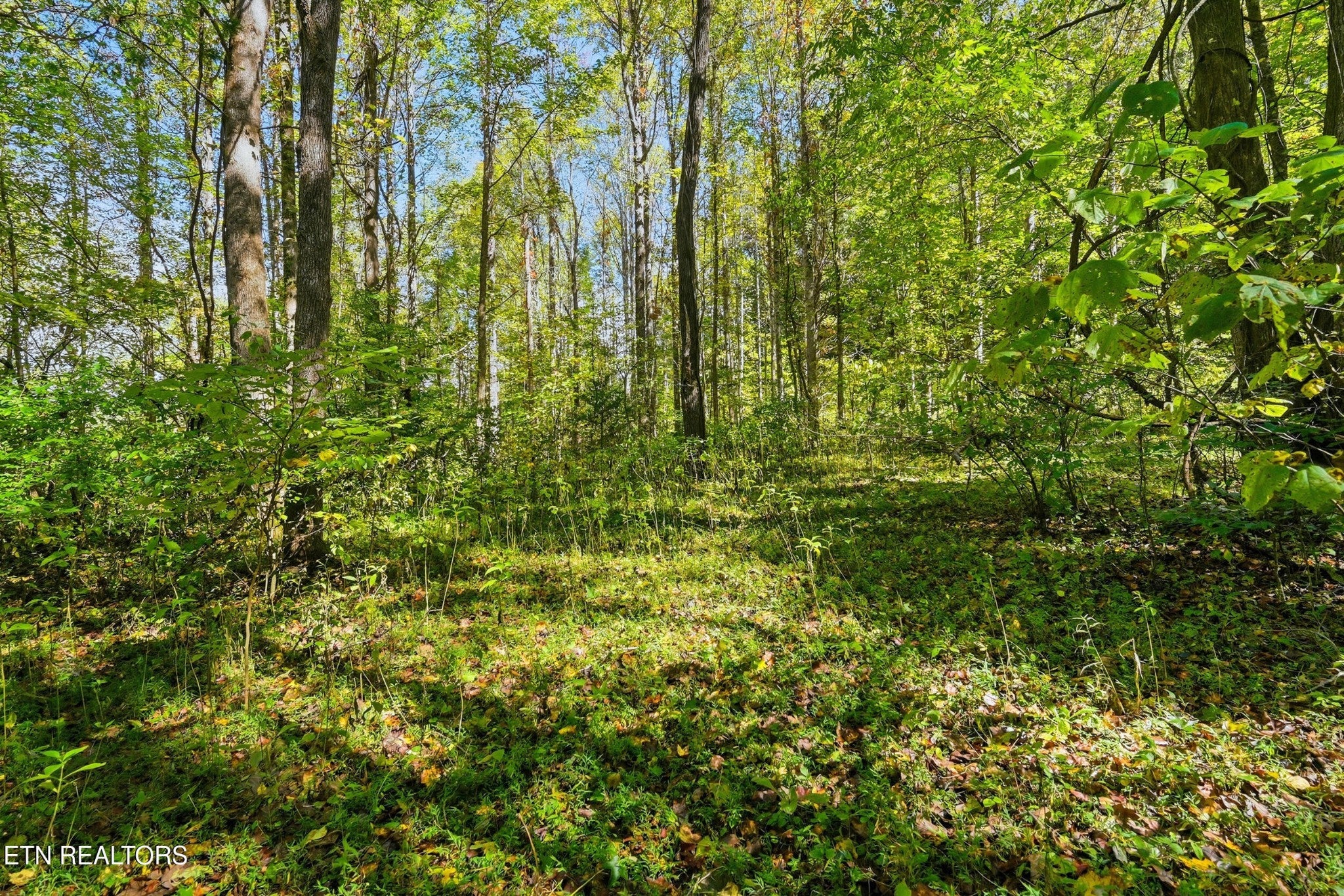 2 Timber Lake Drive