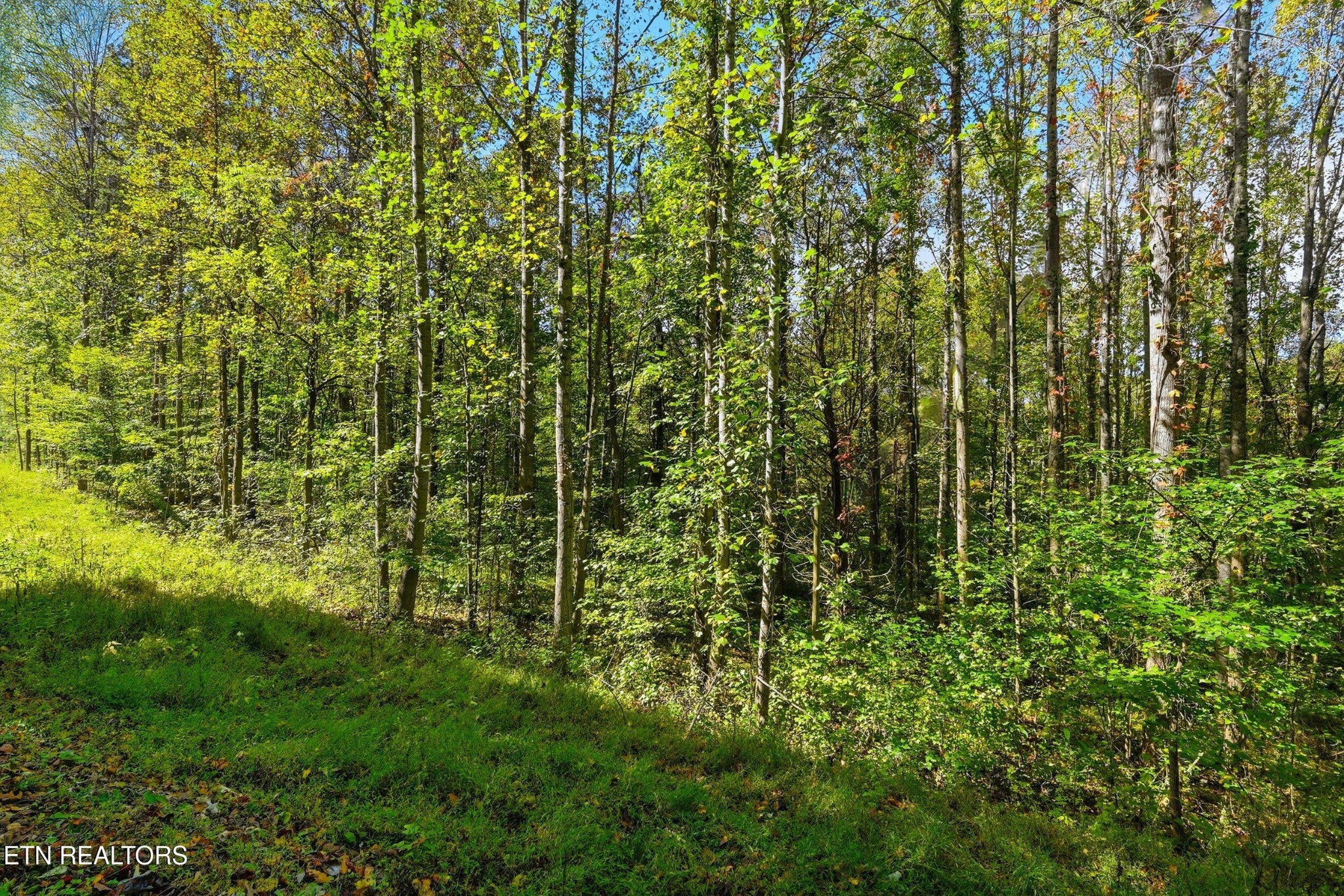 2 Timber Lake Drive