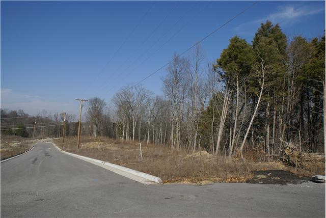 Photo 1 of 5 — 713 FRODO LANE, Antioch, TN 37013