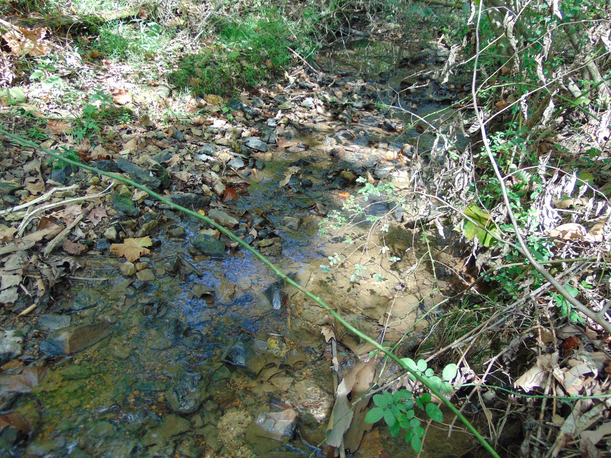 0 Alexander Springs Rd