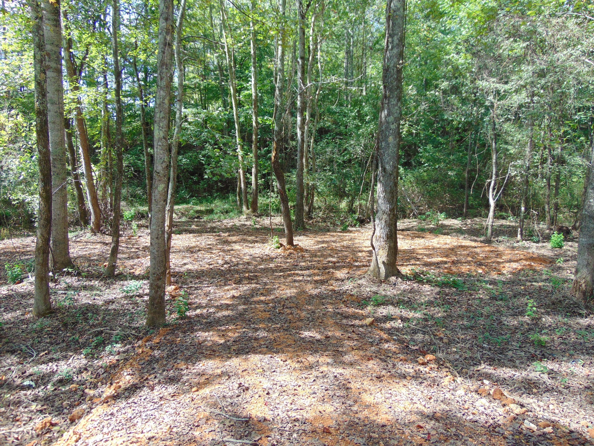 0 Alexander Springs Rd