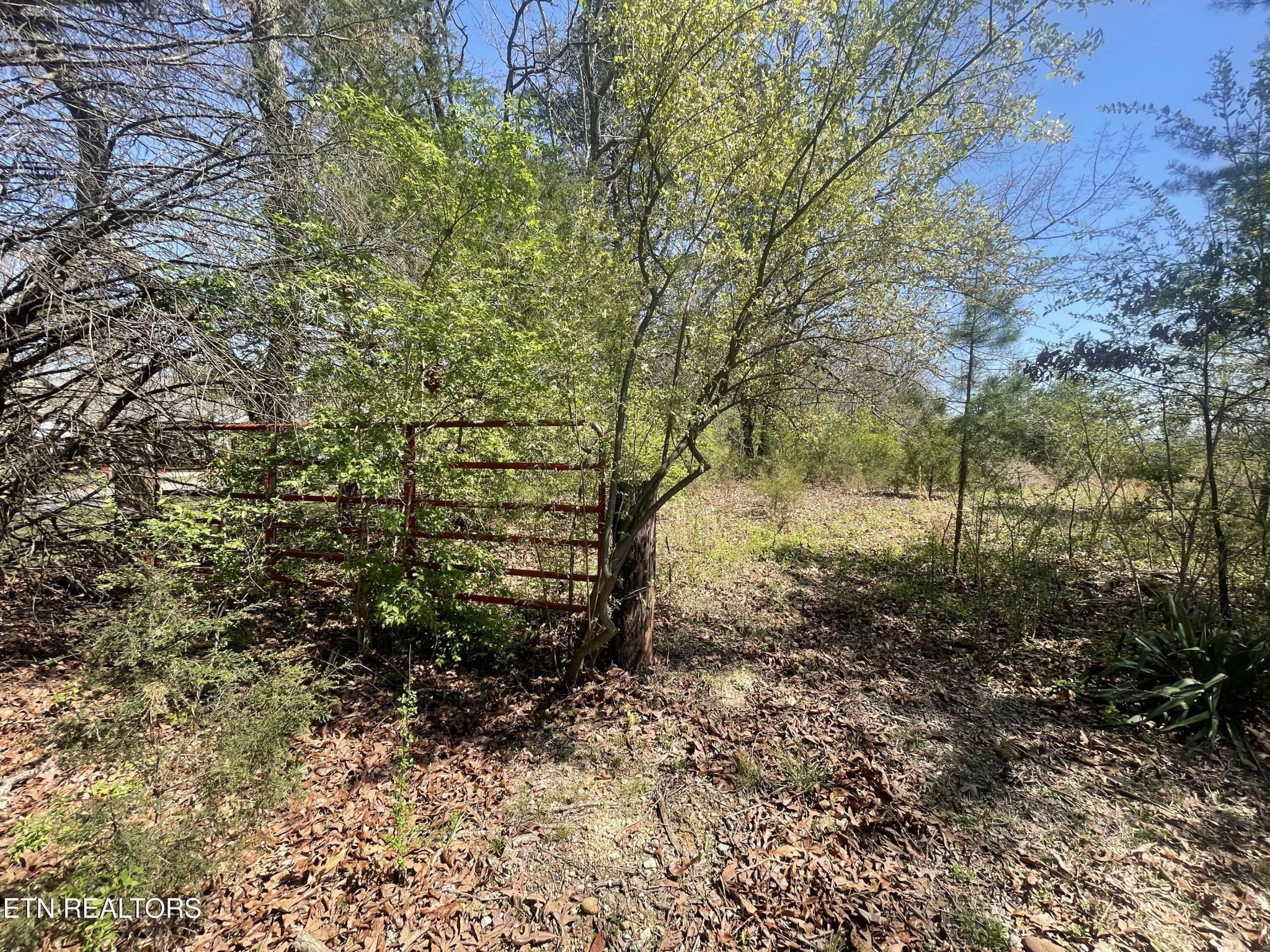 317 Mountain View Drive