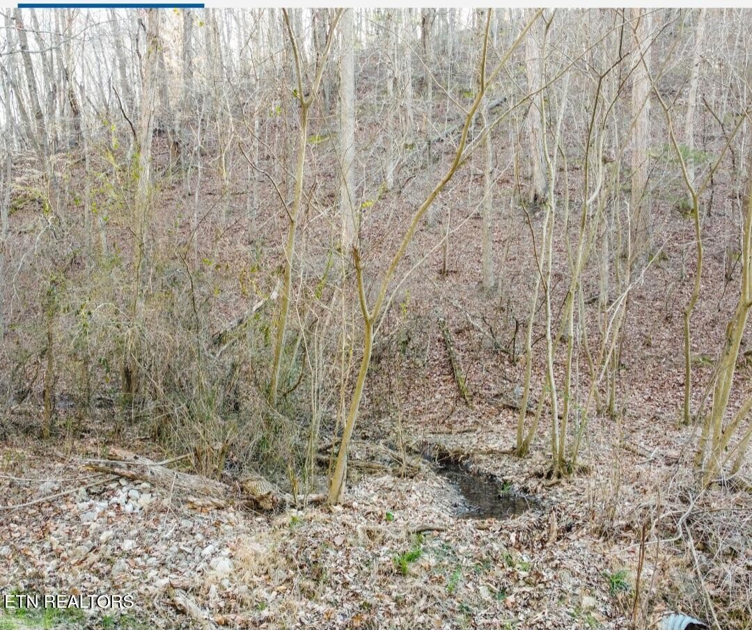 0 Cave Creek, 9.61 AC Rd