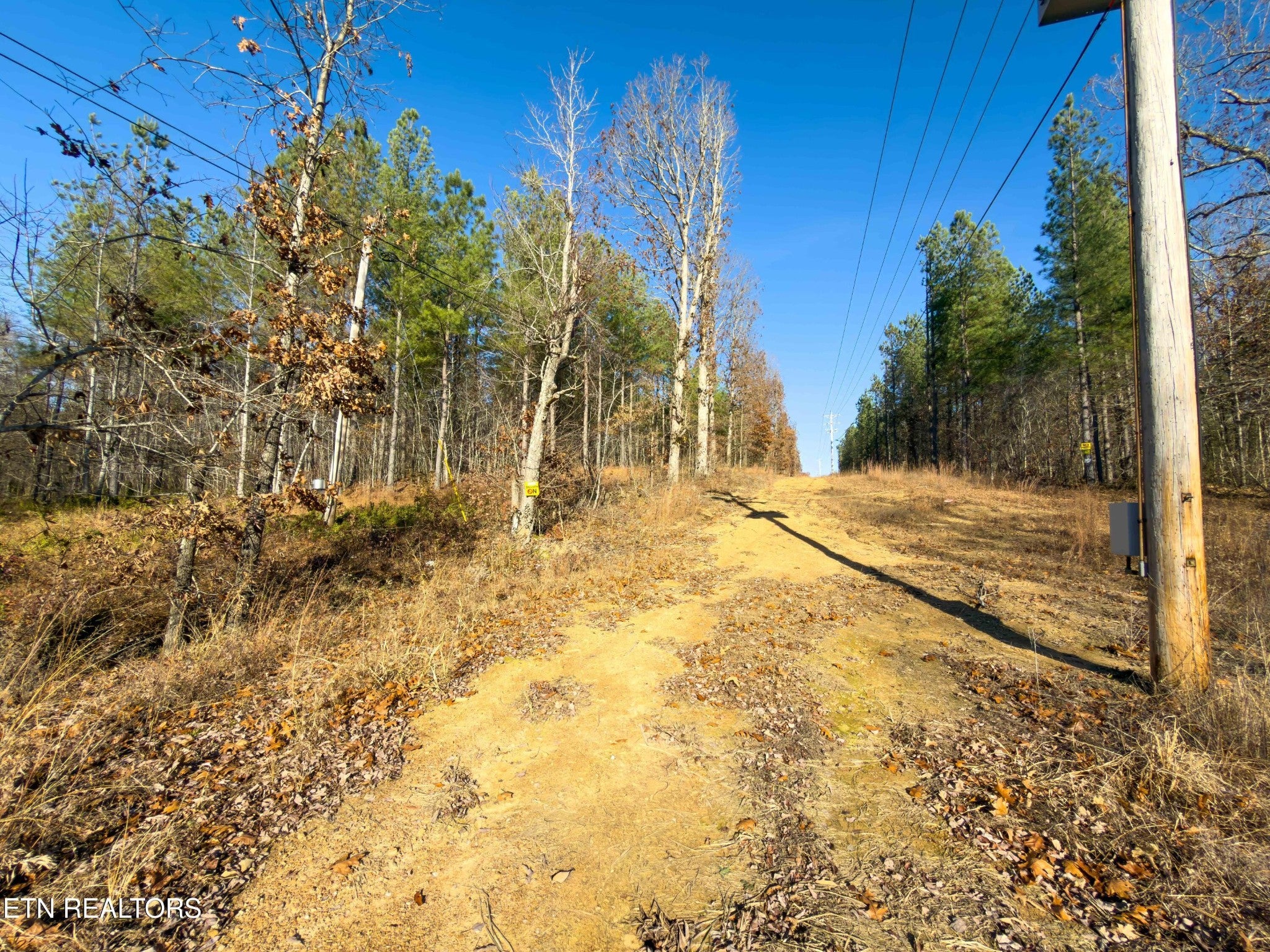 9745 Morgan County Hwy
