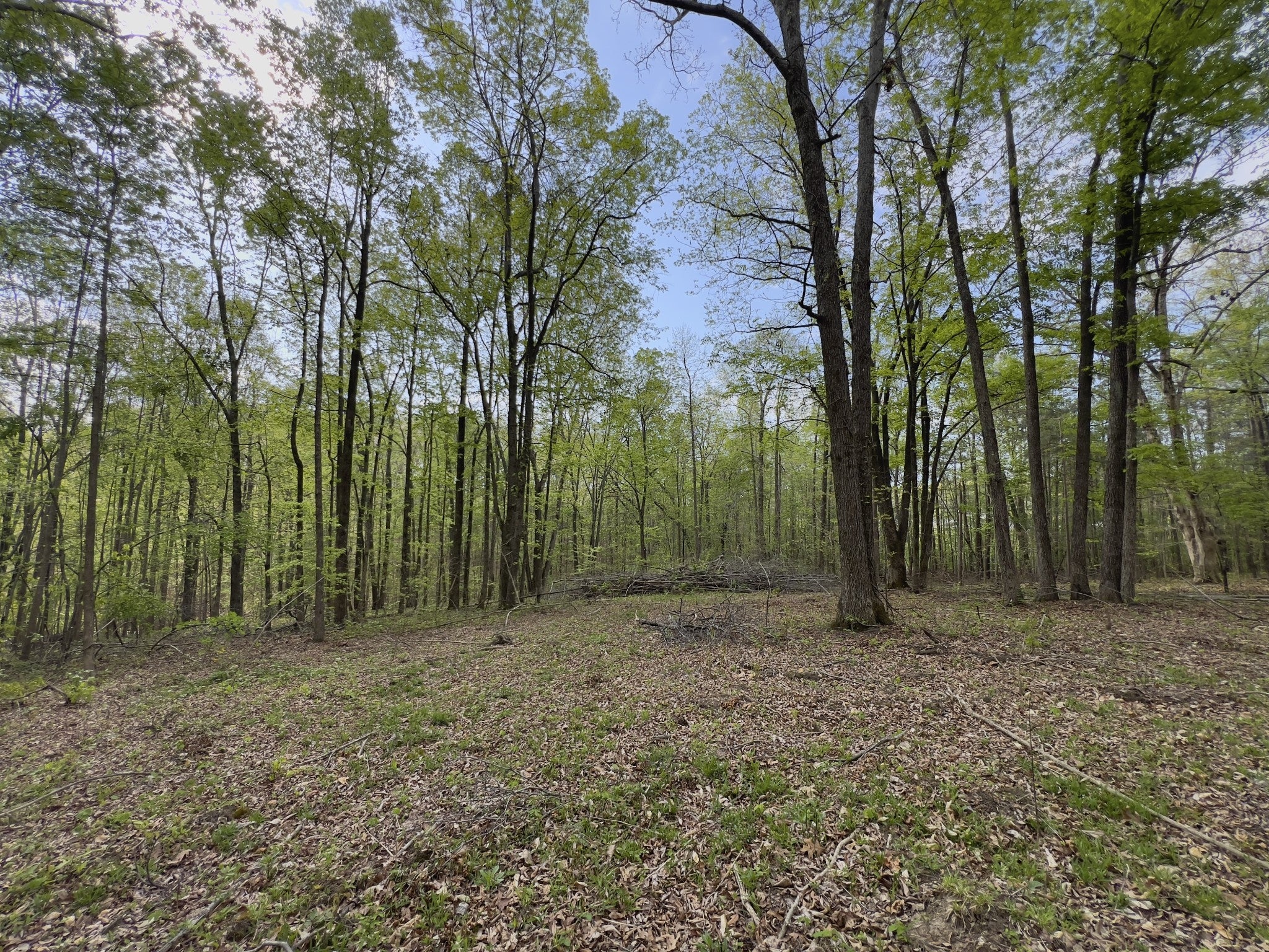 0 Valley Road, Fairview TN 37062 0-bed lot, photo 2 of 30