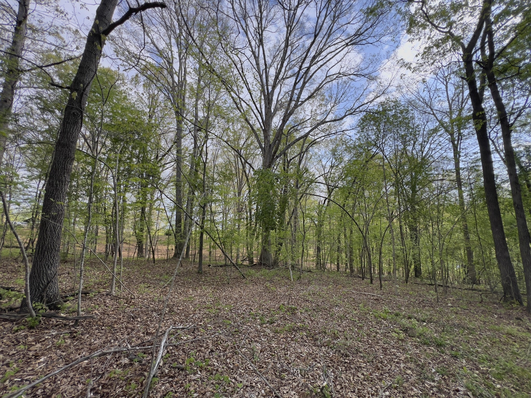 0 Valley Road, Fairview TN 37062 0-bed lot, photo 3 of 30