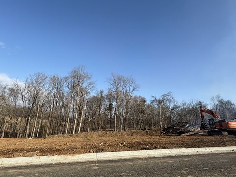 5708 Nola Dr Arrington TN 37014