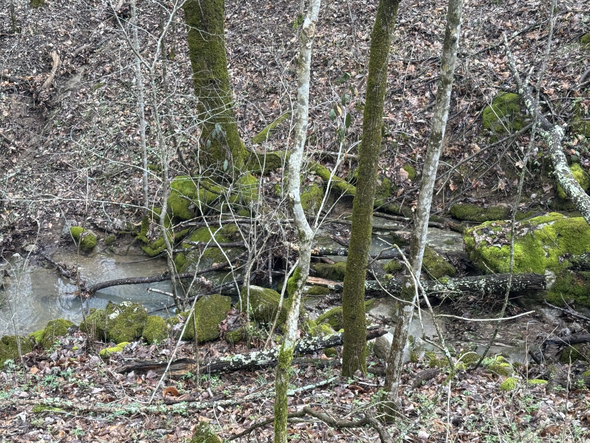 0 Patton Hollow Rd