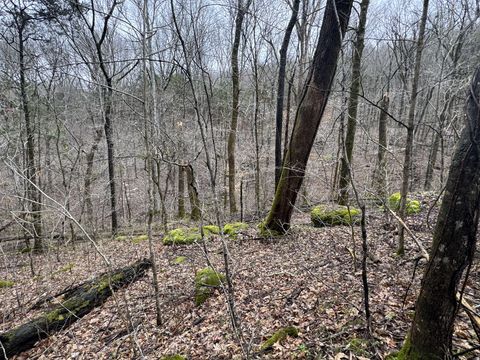0 Patton Hollow Rd Watertown TN 37184