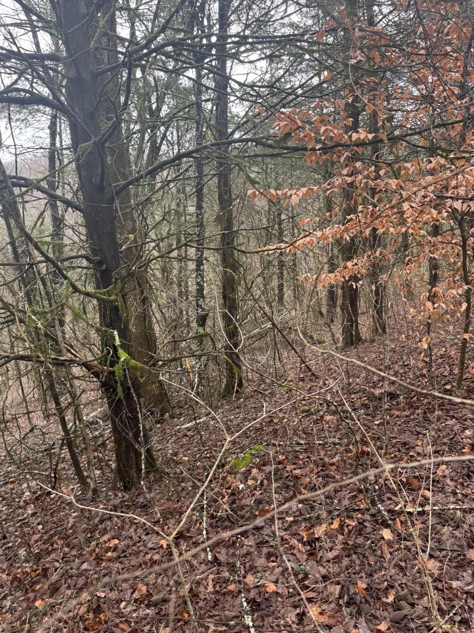 0 Patton Hollow Rd