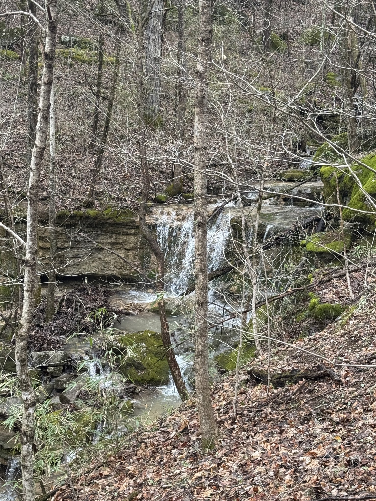 0 Patton Hollow Rd