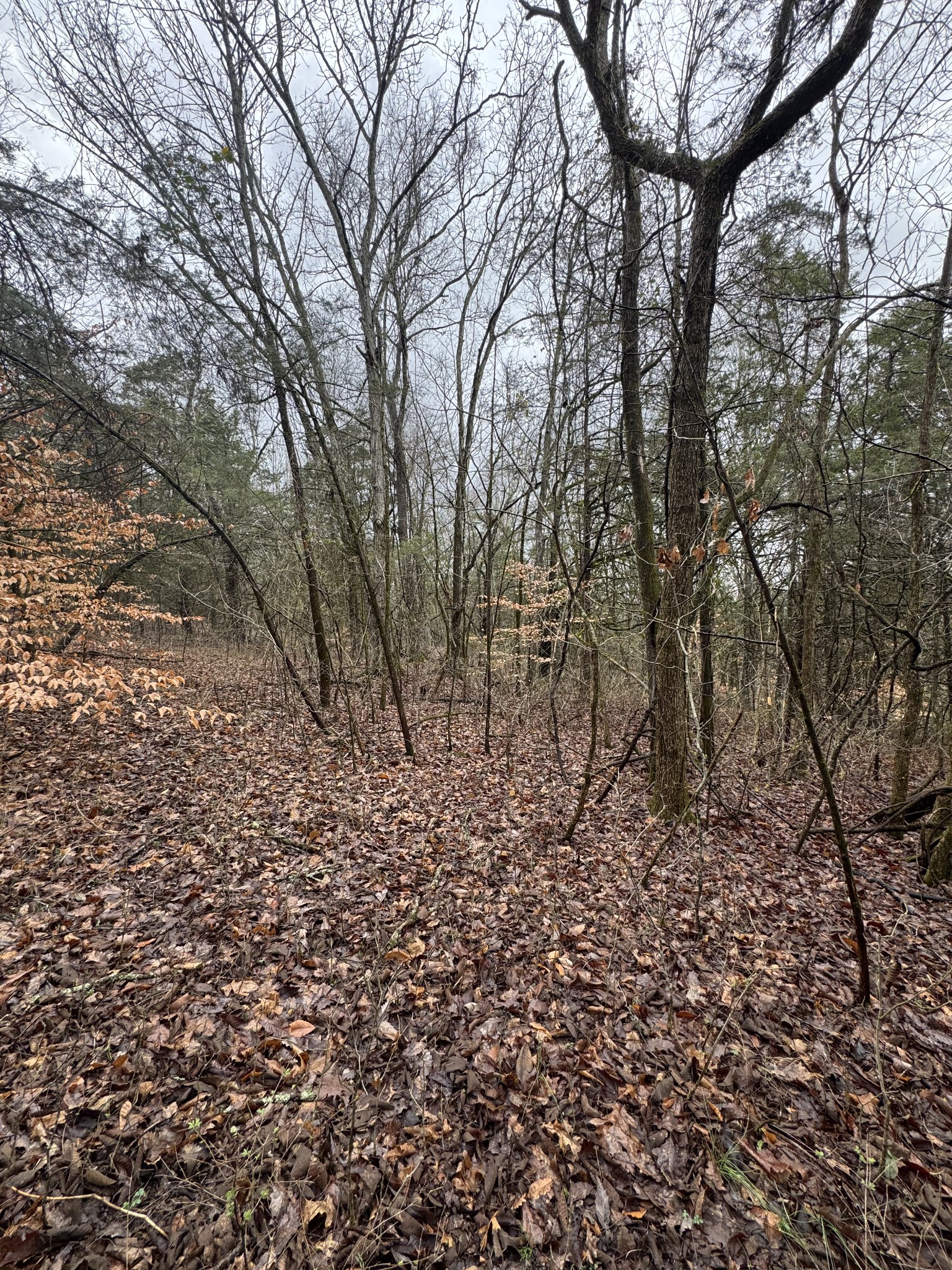 0 Patton Hollow Rd