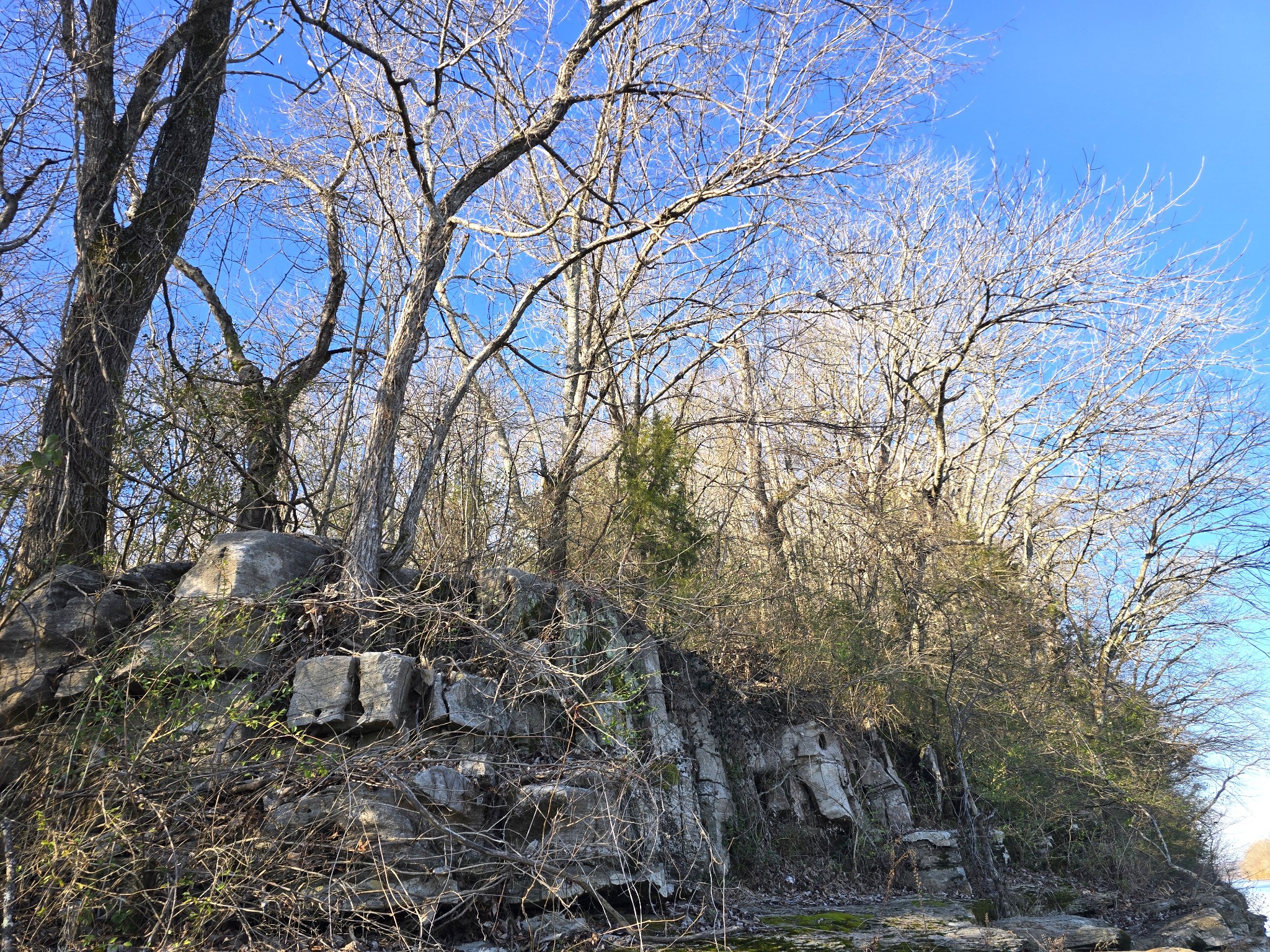 2800 Jarman Hollow Rd