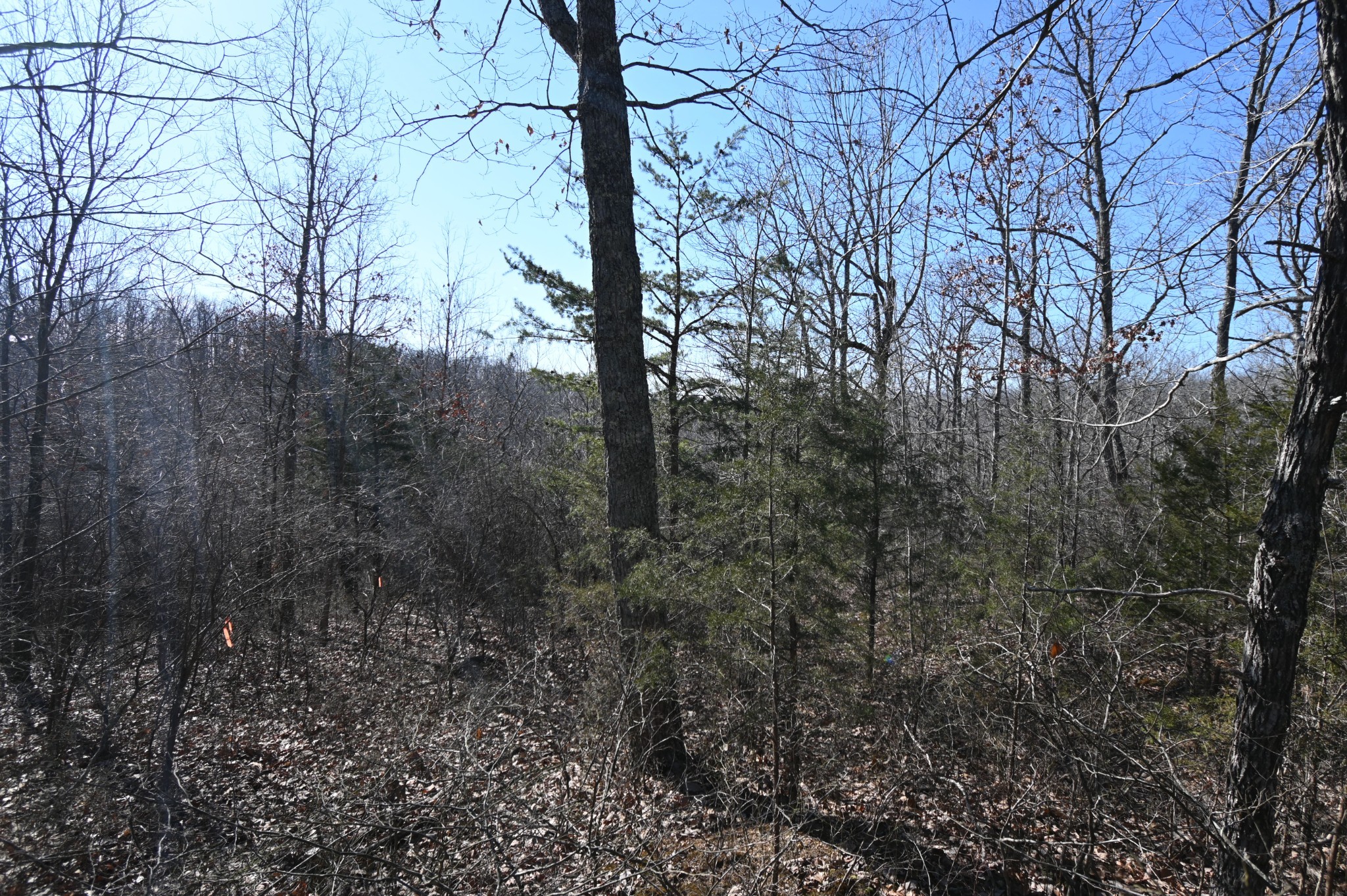 146 Wyatt Ln