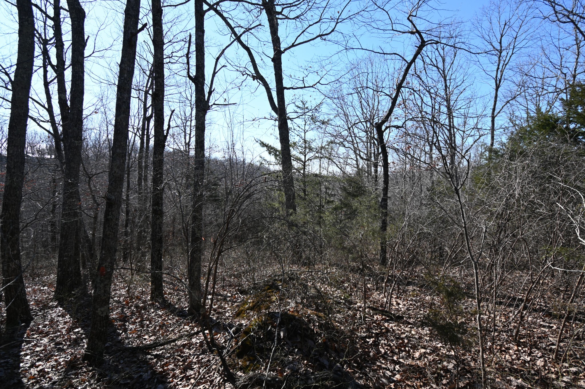 146 Wyatt Ln