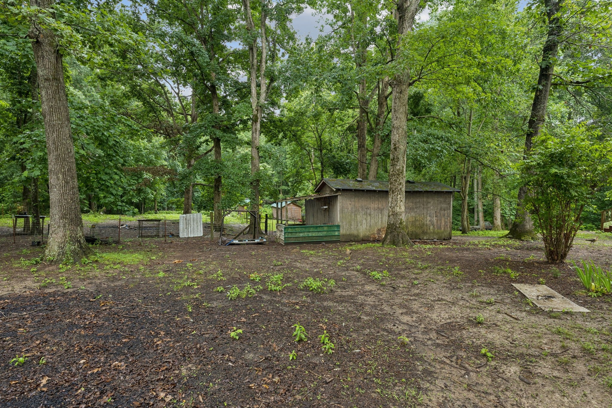 0-bed lot for sale in Franklin, TN 37064, 5849a Bending Chestnut Road 5849a Bending Chestnut Road, Franklin TN 37064 0-bed lot, photo 5 of 60