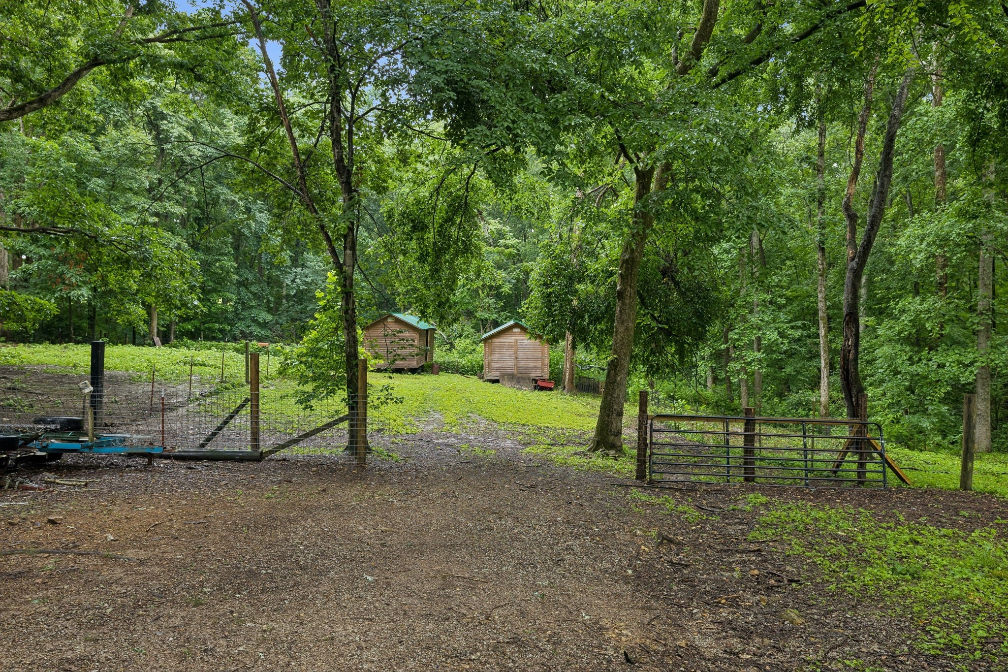 0-bed lot for sale in Franklin, TN 37064, 5849a Bending Chestnut Road 5849a Bending Chestnut Road, Franklin TN 37064 0-bed lot, photo 4 of 60