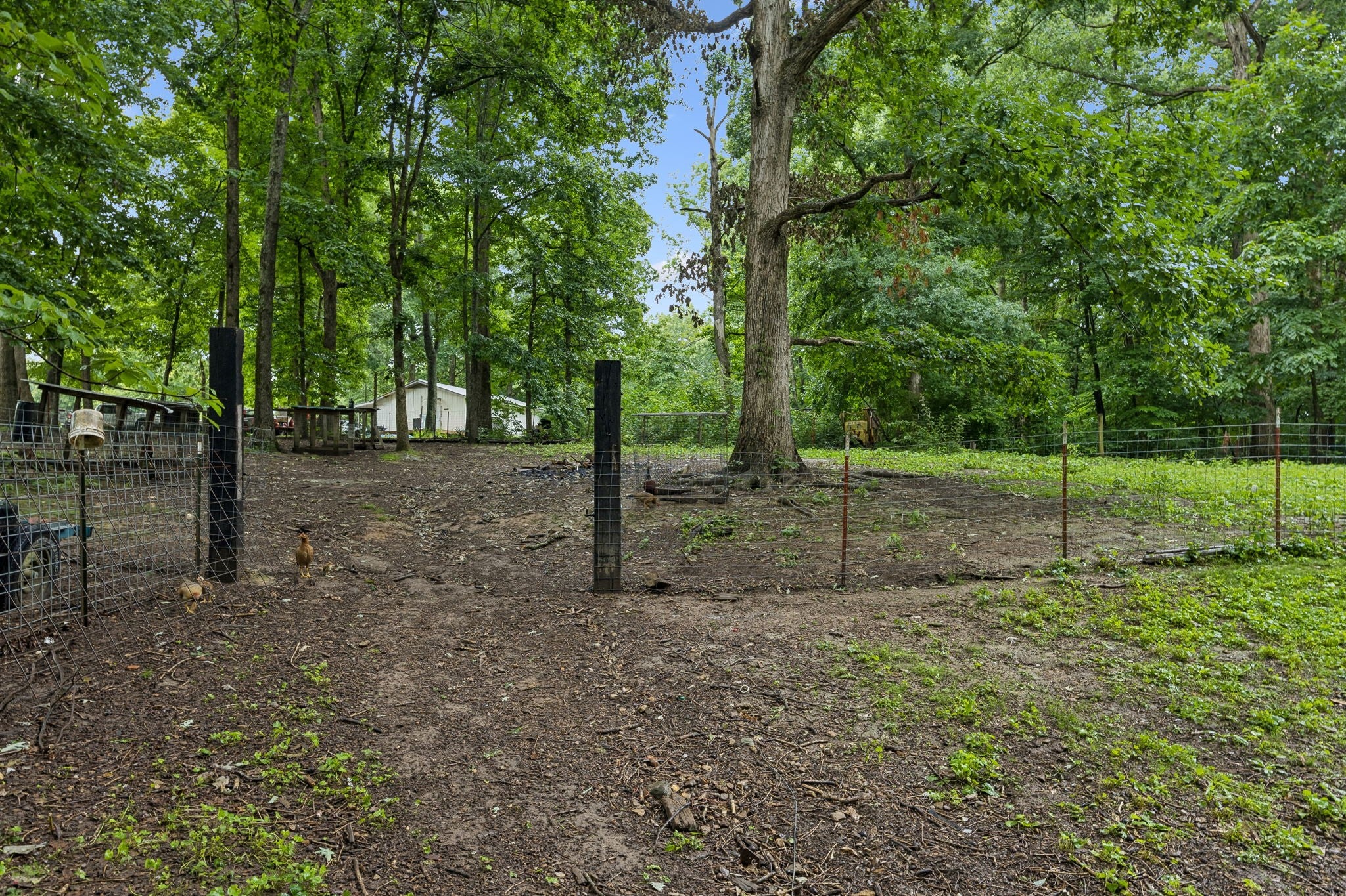 0-bed lot for sale in Franklin, TN 37064, 5849a Bending Chestnut Road 5849a Bending Chestnut Road, Franklin TN 37064 0-bed lot, photo 3 of 60